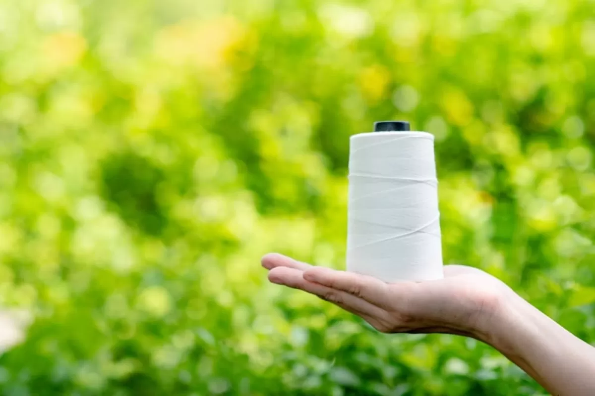 Bio based materials and polyamide